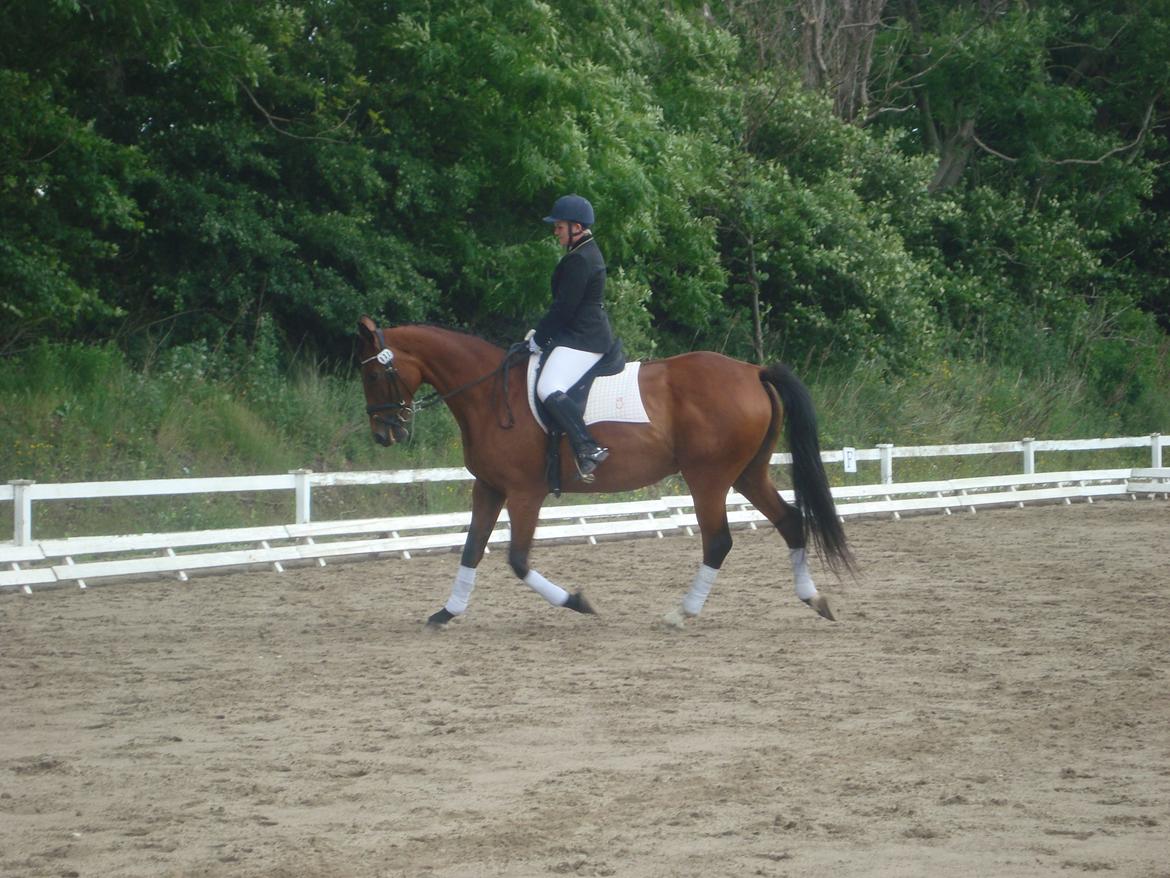 Oldenborg Okholms Caranya billede 36