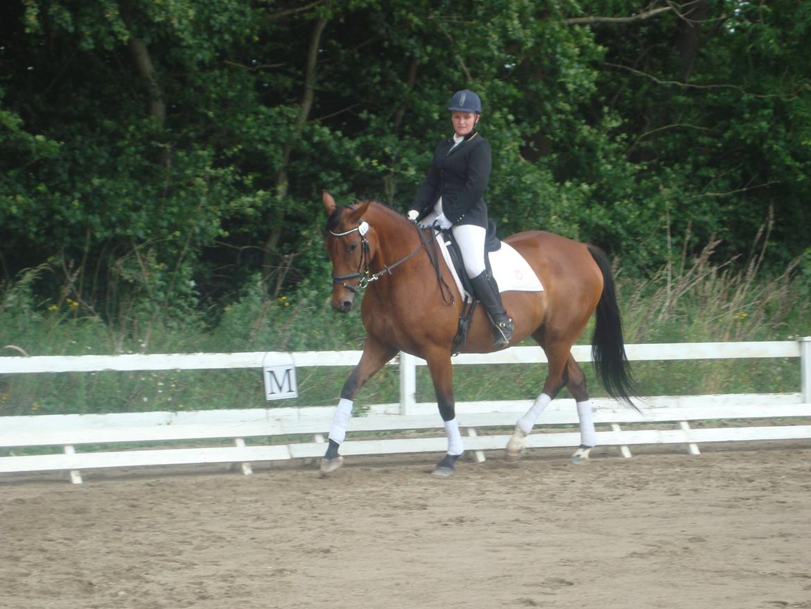 Oldenborg Okholms Caranya billede 37