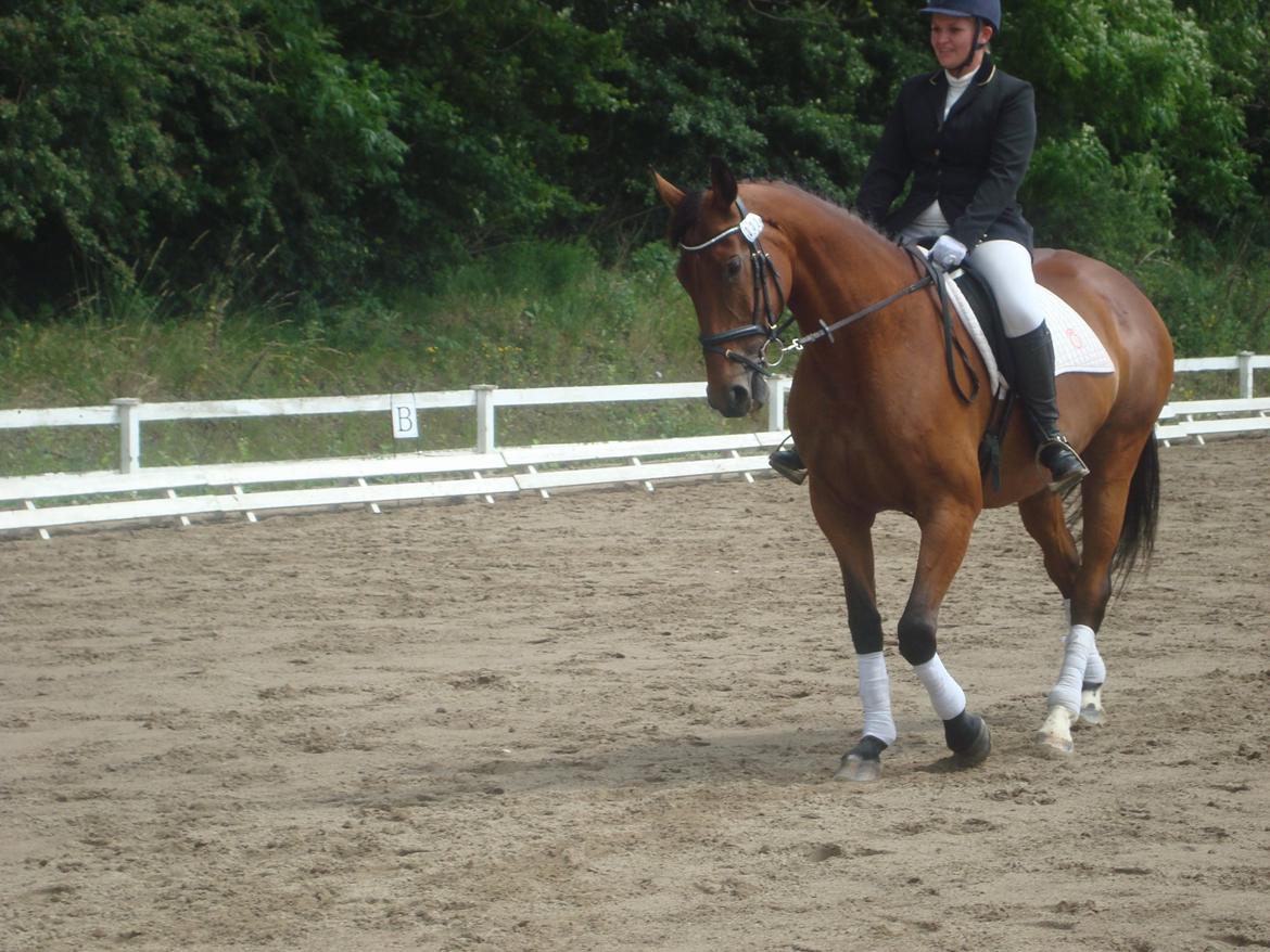 Oldenborg Okholms Caranya billede 38