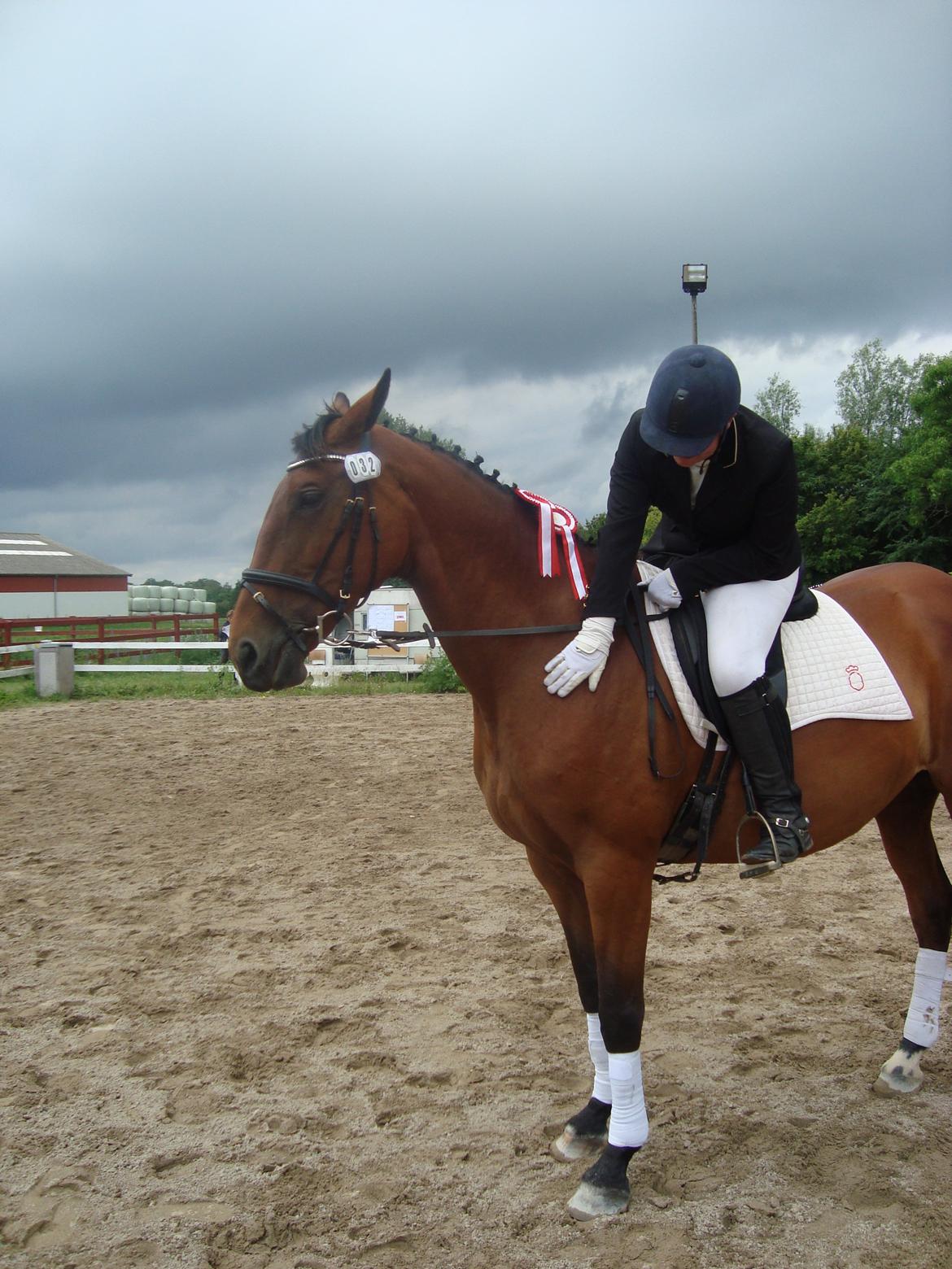 Oldenborg Okholms Caranya billede 39