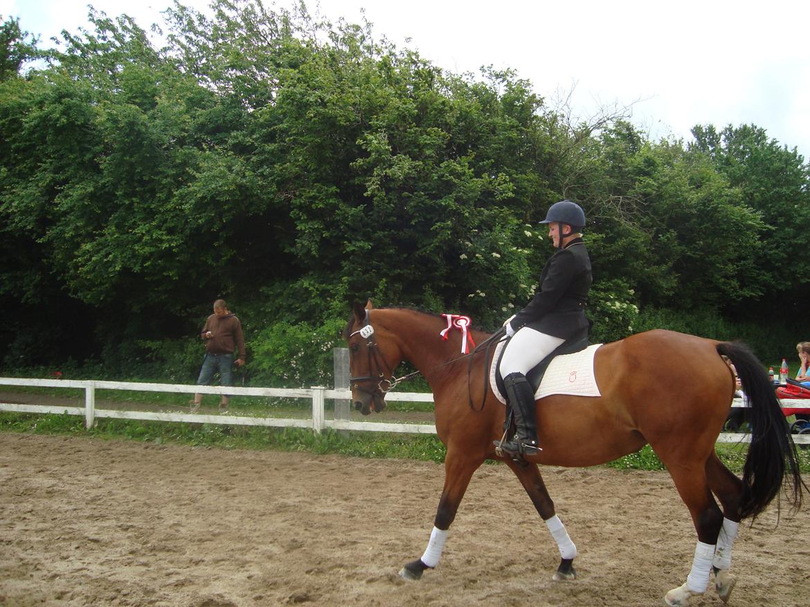 Oldenborg Okholms Caranya billede 40