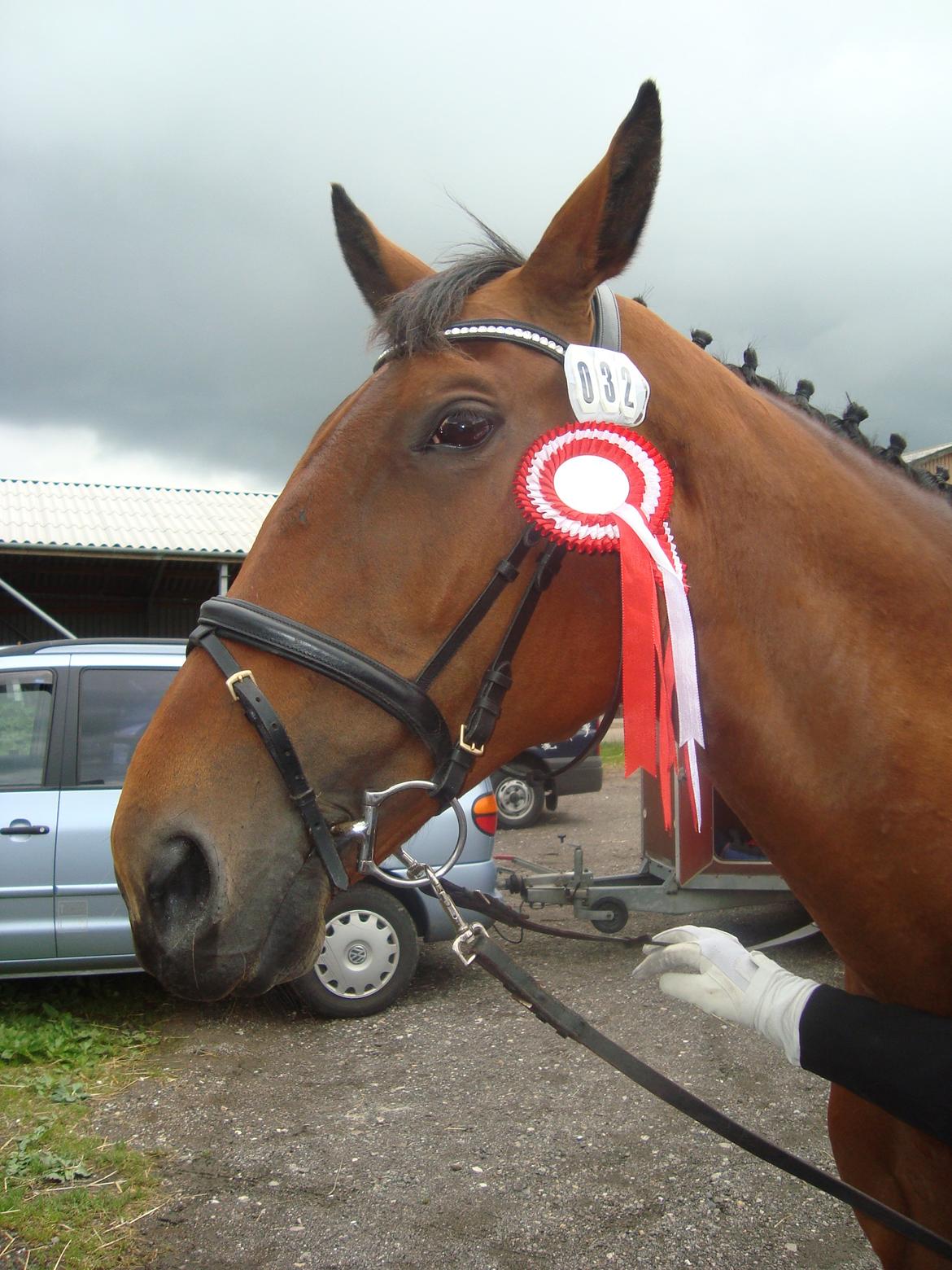 Oldenborg Okholms Caranya billede 41