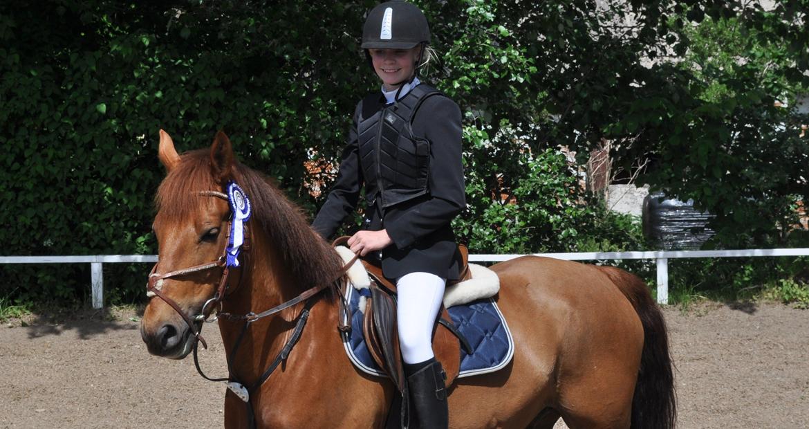 Anden særlig race Golden Fox<3 R.I.P - efter anden plads i LC.<3<3 billede 2