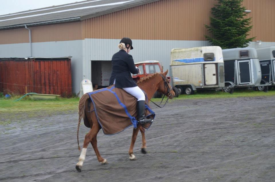 Anden særlig race Lady - Rosenholm cup 2012 billede 18