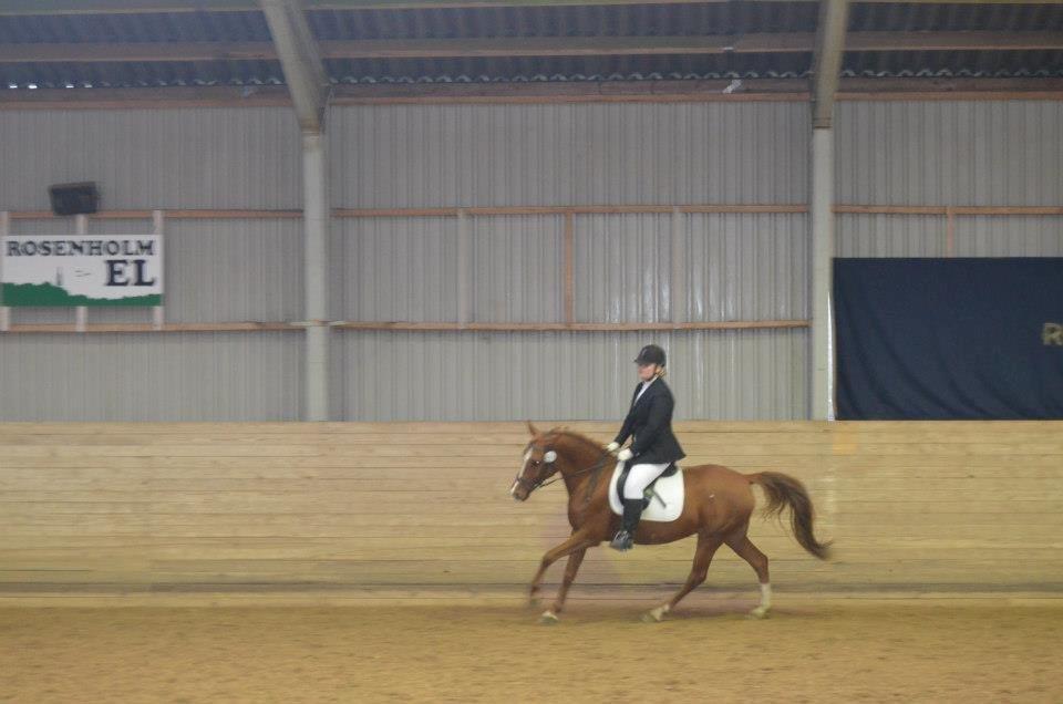 Anden særlig race Lady - Rosenholm cup 2012 i LC1 billede 16