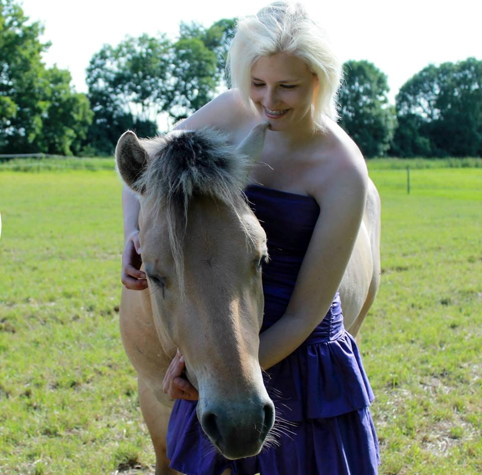 Fjordhest Oscar Vårby billede 43