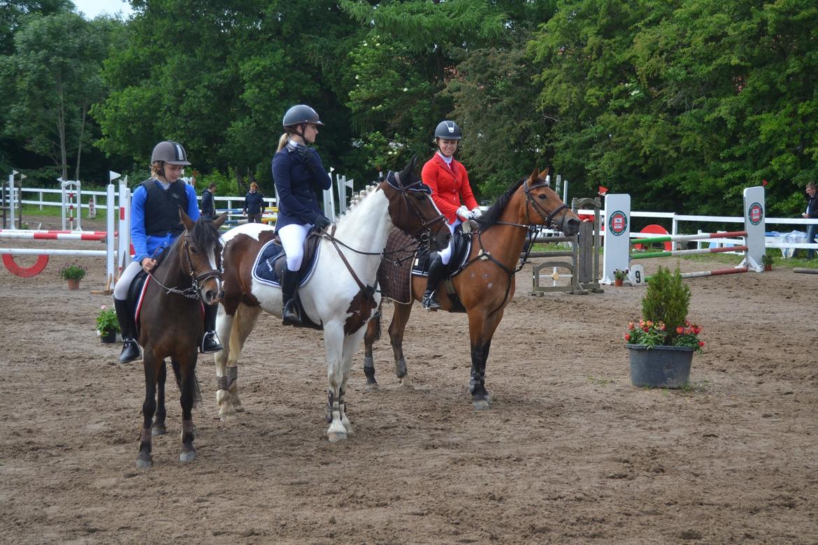 Anden særlig race Esmaralda - Præmieoverrækelse LA* 3. plads billede 22