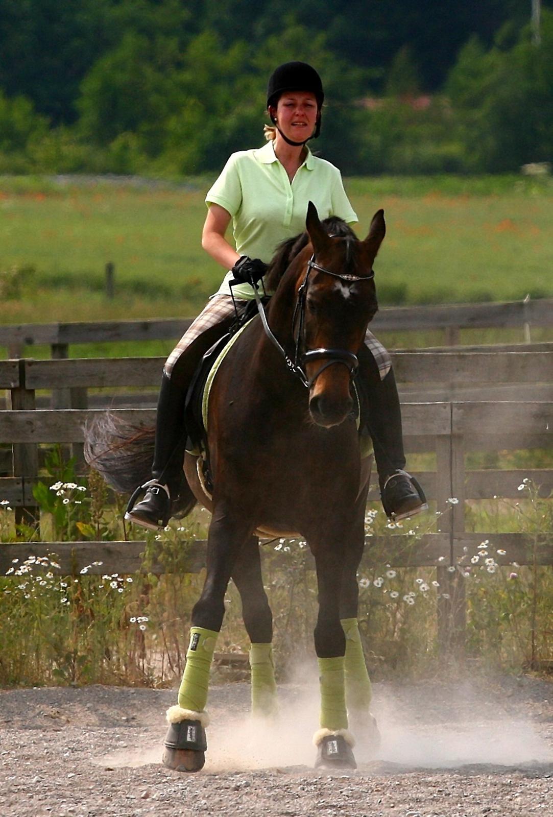 Anden særlig race After Eight´s Chanel / Mutte - 4. Juli 2010 - Træning hjemme, schenkelvigning. billede 40