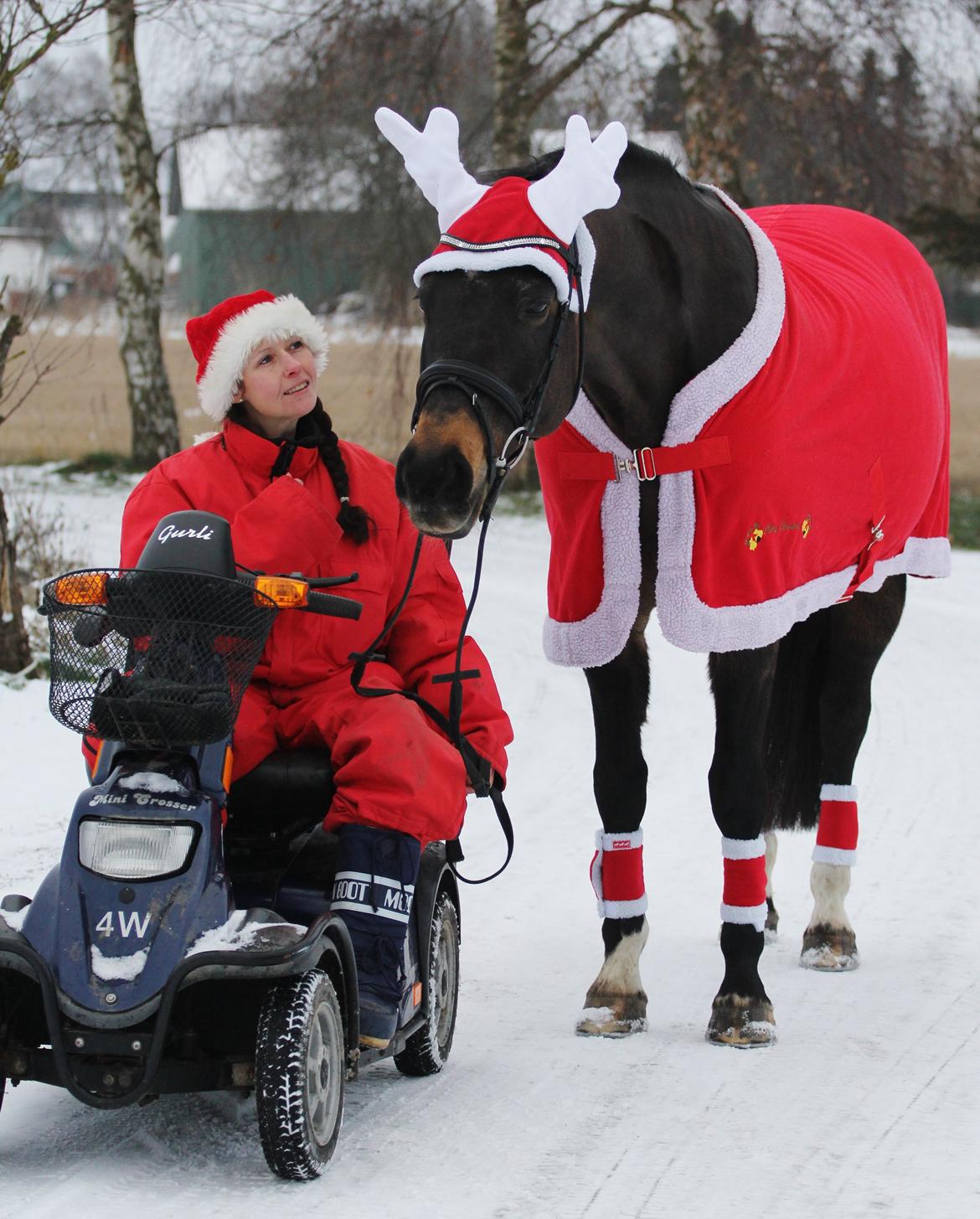 Anden særlig race After Eight´s Chanel / Mutte - 7. December 2012 - Så er vi i juledresset <3 billede 10