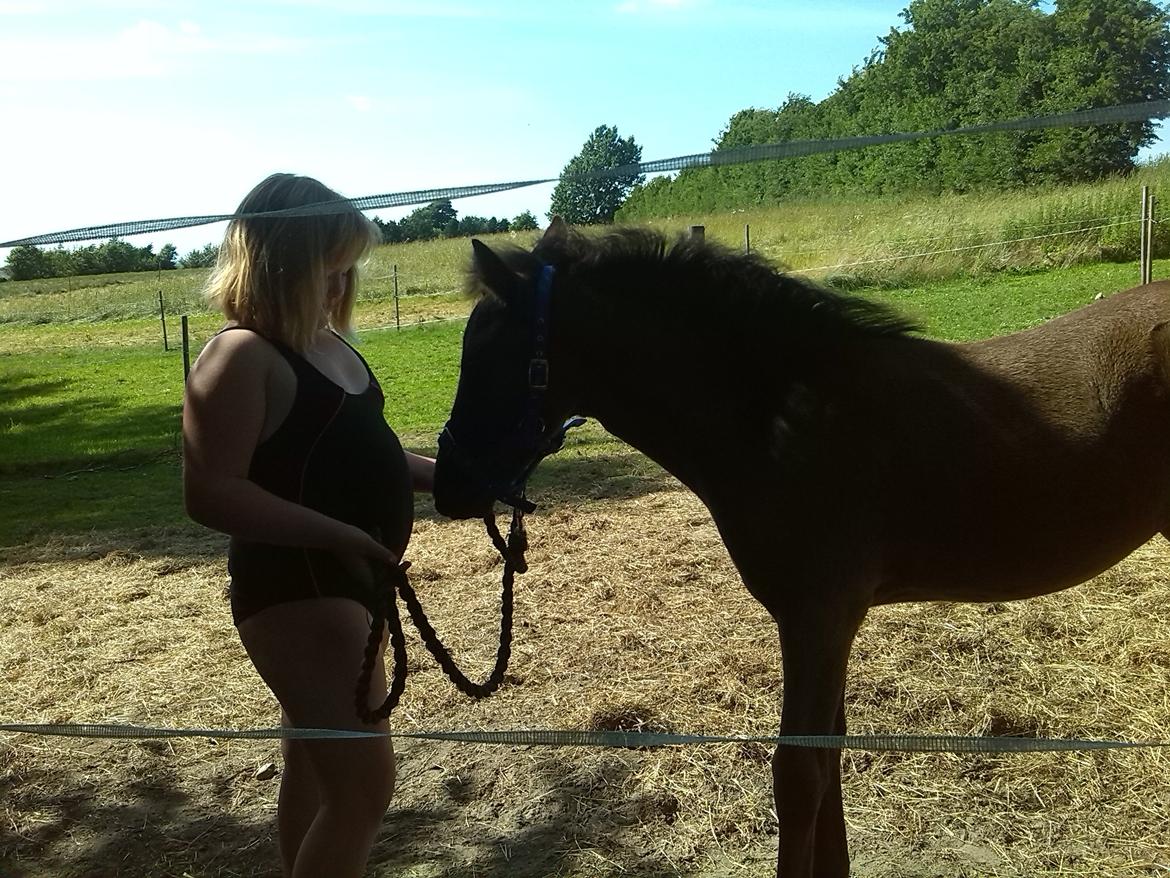 Anden særlig race Anomi billede 3