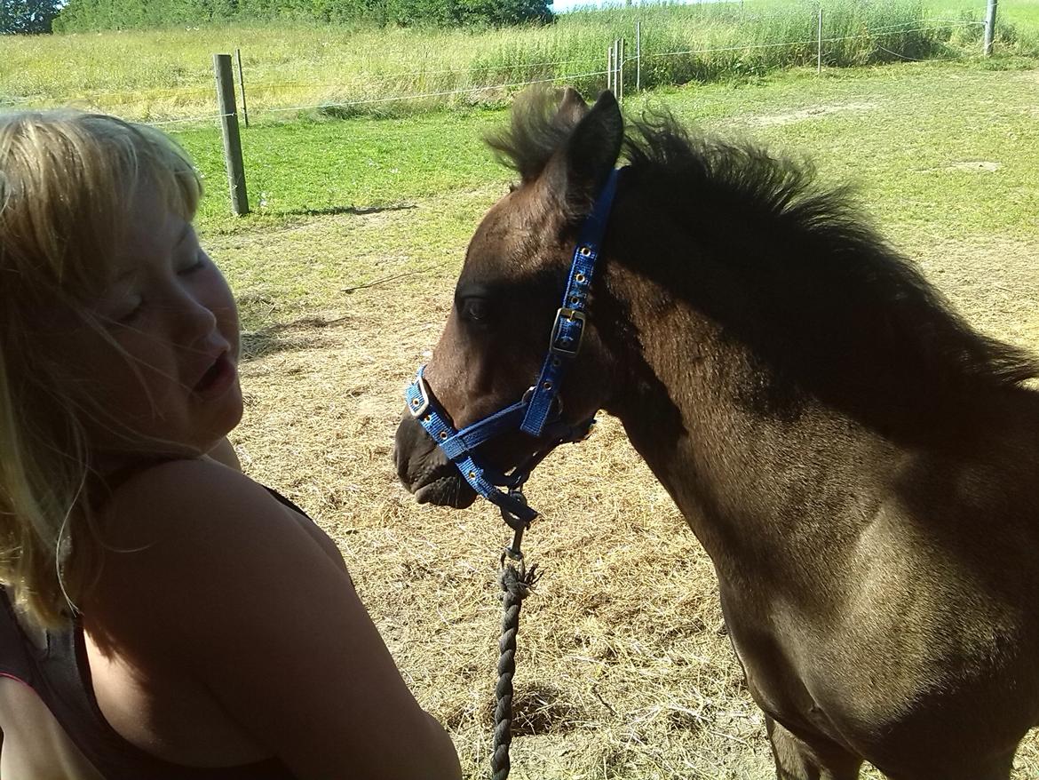 Anden særlig race Anomi billede 4