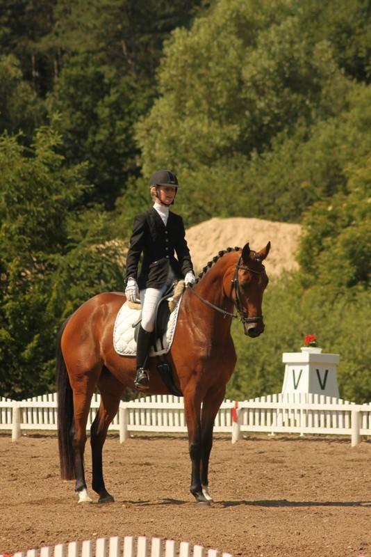 Dansk Varmblod Baunehøjens Florida - Distrikt mesterskaberne hold 2013. (Nr. 2) LA2 ti samlet 69,?% <3 billede 12