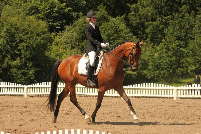 Dansk Varmblod Baunehøjens Florida - Distrikt mesterskaberne hold 2013. (Nr. 2) LA2 ti samlet 69,?% <3
 billede 13