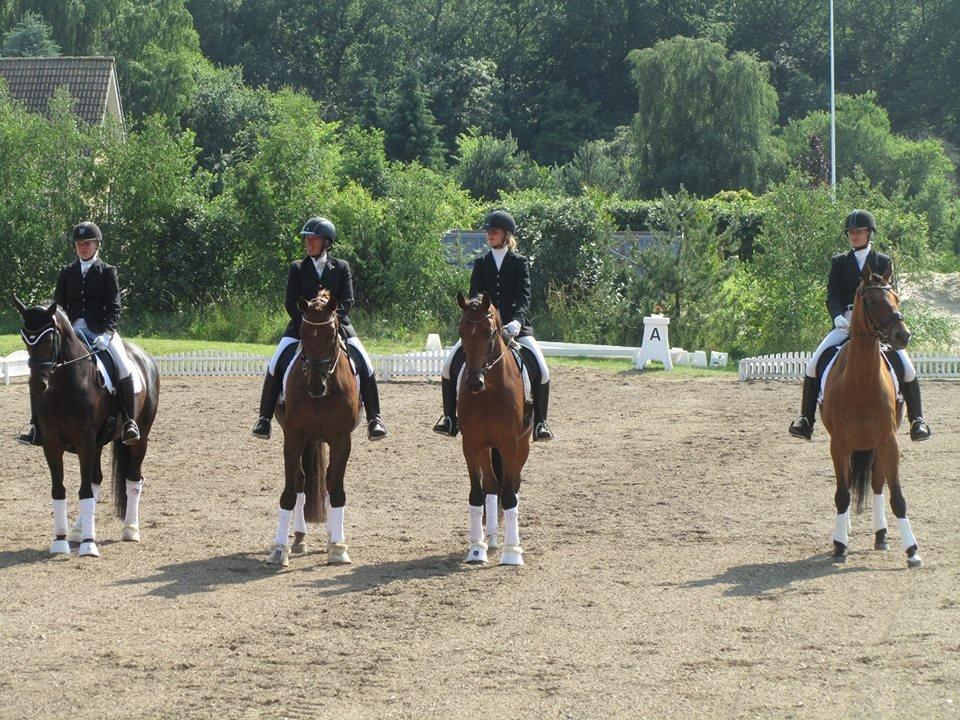 Dansk Varmblod Baunehøjens Florida - Nummer 2 til distrikt mesterskaberne hold 2013. Fra venstre: Caroline, Birgitte, mig og  Maria.  billede 14