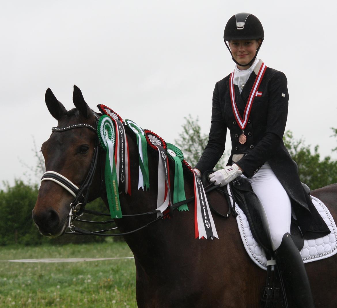 Westfaler Fernet D - A hest billede 14