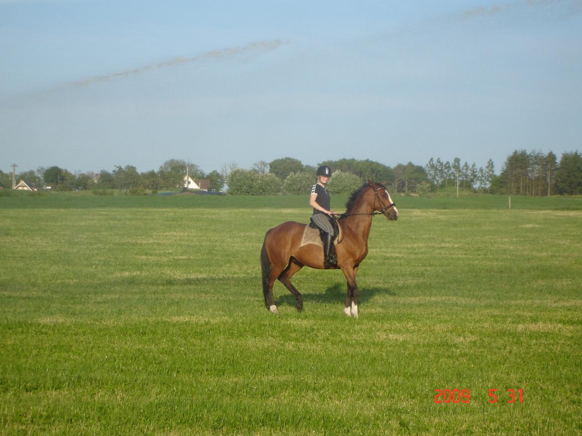 Anden særlig race Niko *Pops*Tøsedreng* - Sommeren 09 - står under vandstrålen fra markvanderen  billede 22