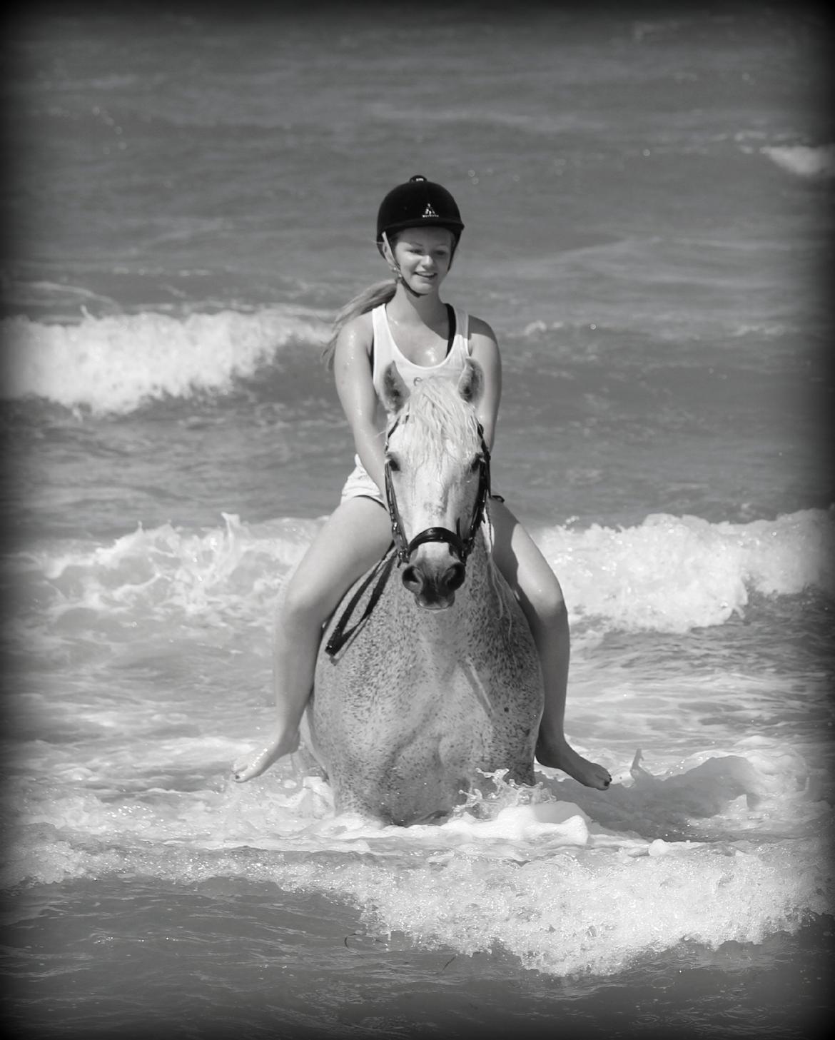 Connemara Kalle  - SOMMER 2013! <3 billede 1