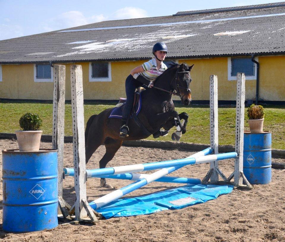 DSP Batman billede 16