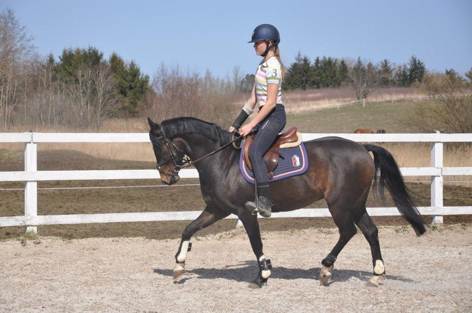 DSP Batman billede 17