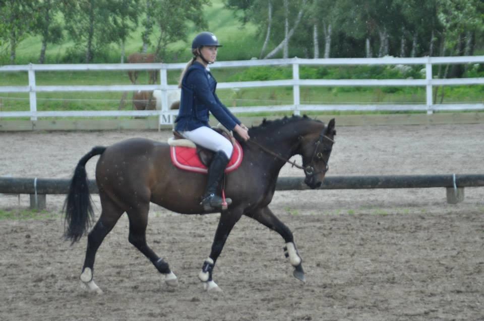 DSP Batman billede 18