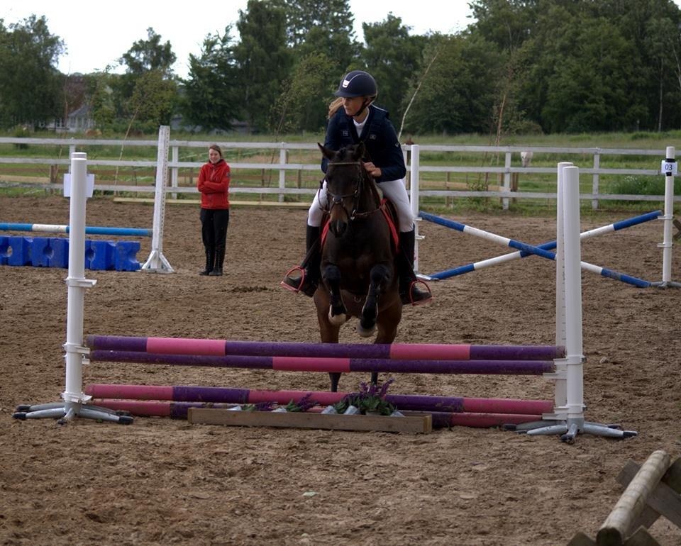 DSP Batman billede 19