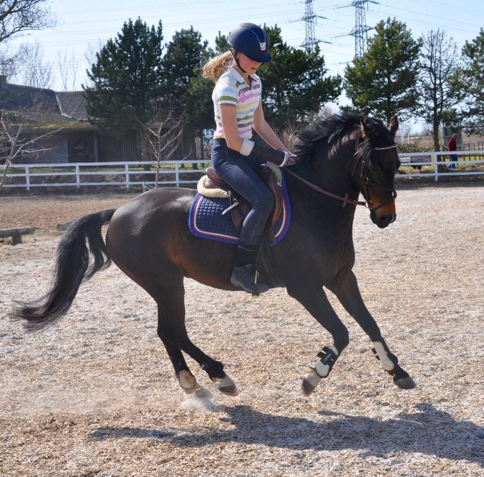 DSP Batman billede 20