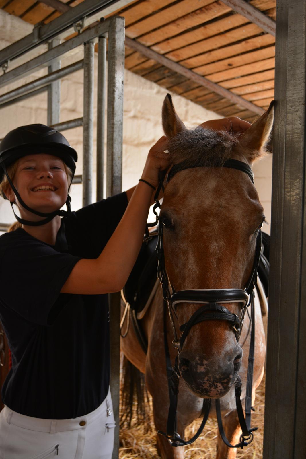 Anden særlig race Little Kahlua billede 12