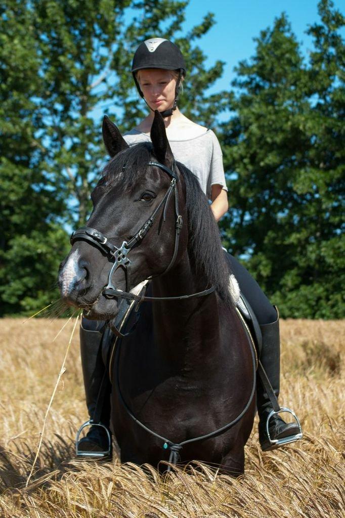 Anden særlig race Zizanie - tidligere passer - Foto: Katja Højland Kjer billede 14