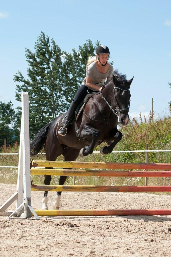 Anden særlig race Zizanie - tidligere passer - Foto: Katja Højland Kjer billede 17