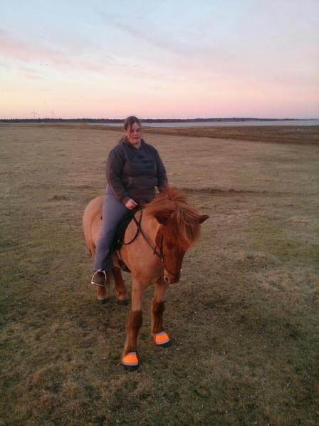 Islænder Kari fra kaldal billede 3