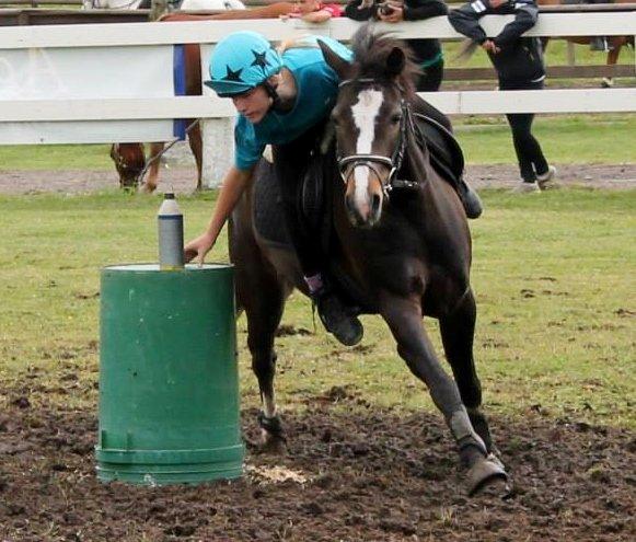 DSP Fredbo´s Image - Nissecup 15-16 juni 2013, holdstævne i Sverige. Ida Bundgaard billede 23