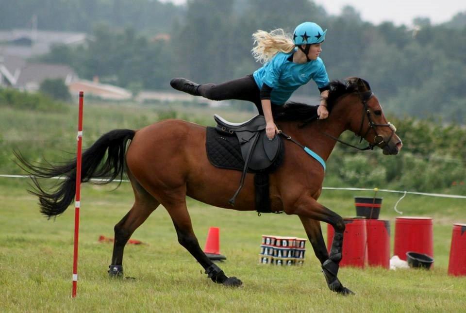 Anden særlig race Shah Little Miss May - DK pony cup 22-23 juni 2013, ølsted billede 11