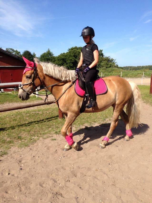 Anden særlig race Smilla billede 2