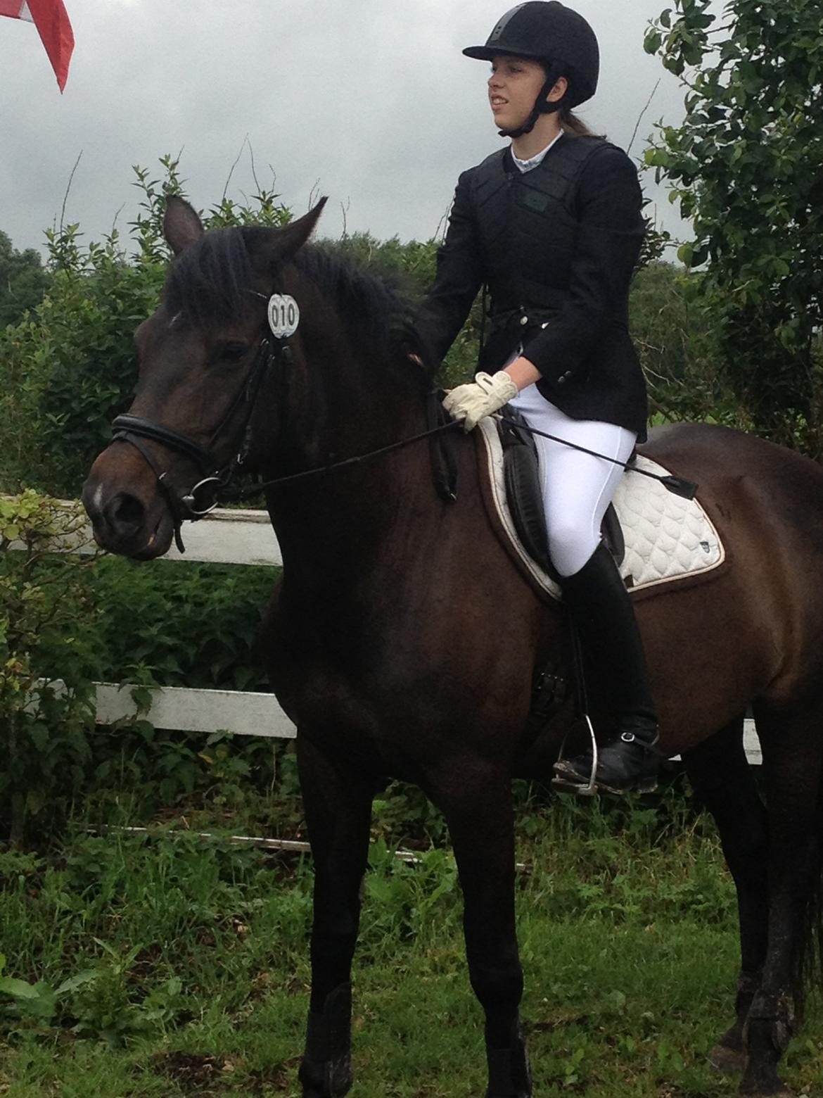 Fuldblod (XX) Staghøjgårds La Rochelle - Stævne i SPS, juni 2013 :-) billede 1