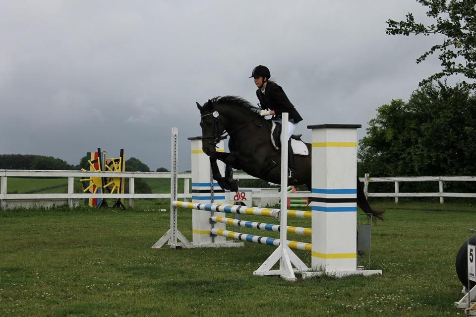 Fuldblod (XX) Staghøjgårds La Rochelle - Stævne i SPS, juni 2013 :-) billede 14