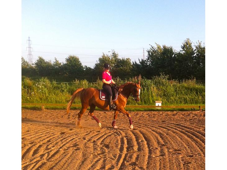 {{currentPhoto.altText}} billede {{currentPhoto.number}}