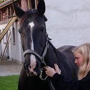 Anden særlig race Bonnie