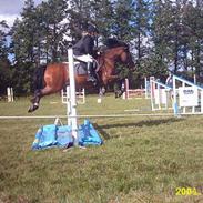 Anden særlig race Mc. Cloud