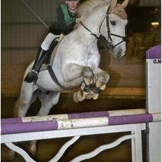 Connemara Petit Cheval, solgt