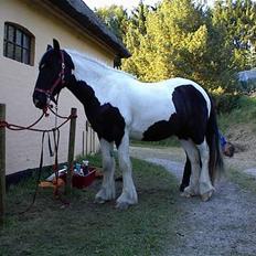 Tinker Rikki Licki Lake