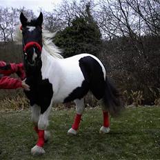 Tinker Rikki Licki Lake