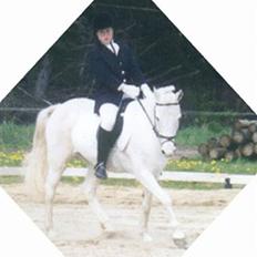 Anden særlig race Yousette (R.I.P.)