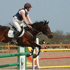 Traver Amadeo *Solgt*