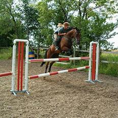 Traver Amadeo *Solgt*