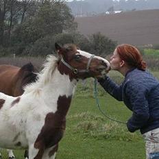 Tinker Lysholm's Aidan