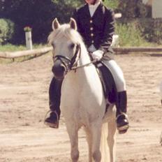 Welsh Mountain (sec A) Prins Silver