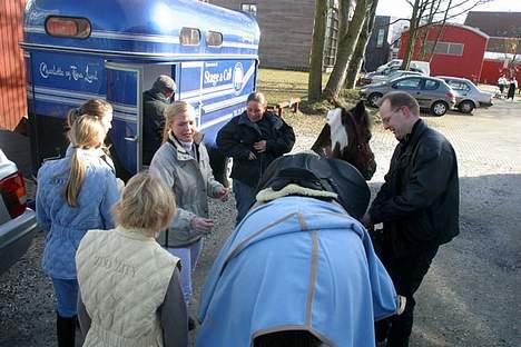 Pinto Bella, solgt - Da jeg var i snurresunp med hende, sammen med min træner Tina Lund.. billede 2