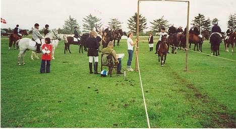Anden særlig race Lotte - her er vi til ringridning i vores tidligere ridesklub, Det er Marie og Lotte der er rider igennem galgen.... billede 6