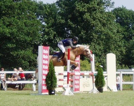 Palomino Yabadoo (SOLGT) - Yabadoo som blev nr. 2 til FYENSMESTERSKAB 2005 med sammenlagt 0 fejl efter 2 hovedspringninger og omspring! billede 3