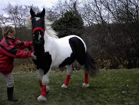 Tinker Rikki Licki Lake - Er jeg ikke bare flot med mine nye røde bandager billede 3